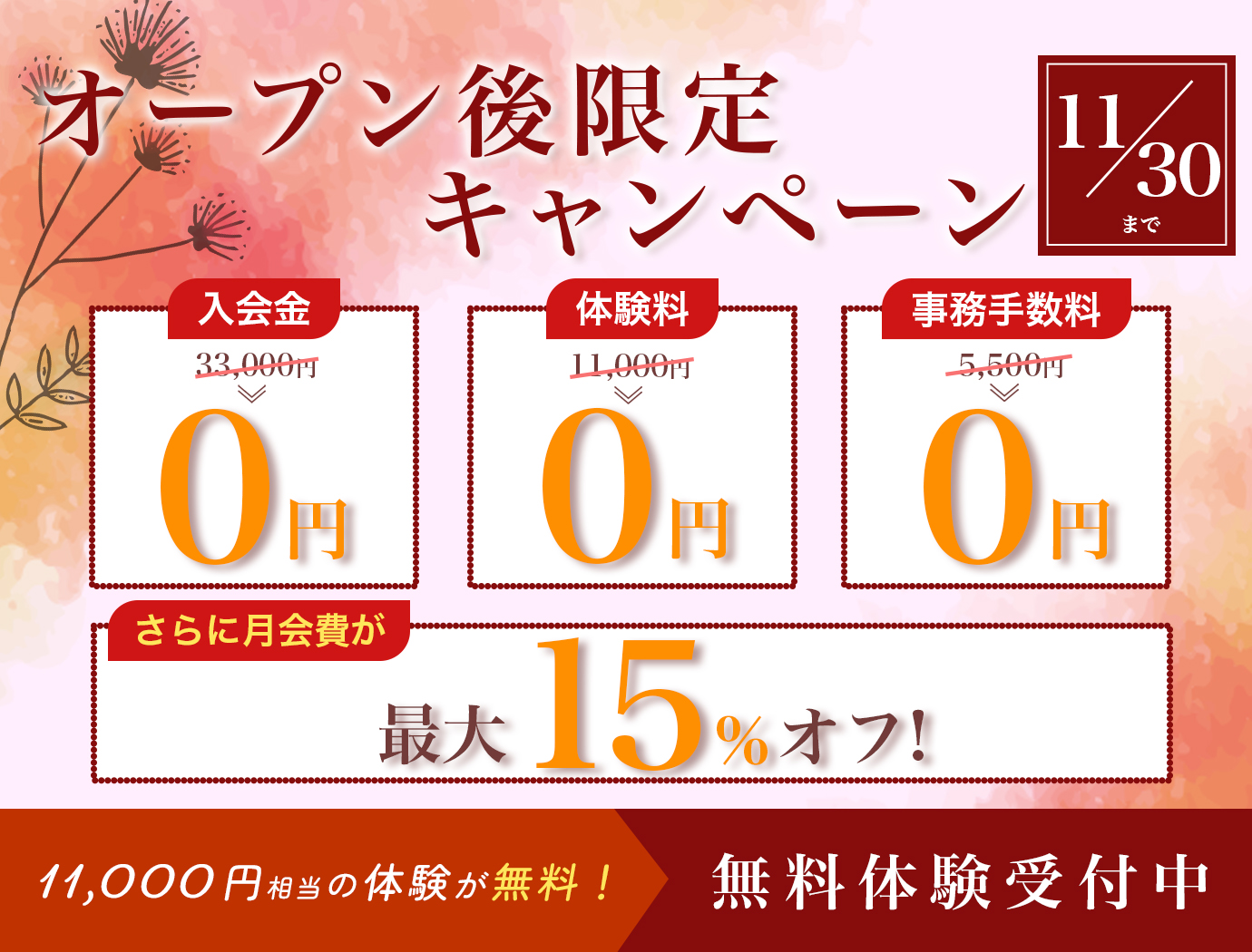 オープン後限定キャンペーン 11月30日まで