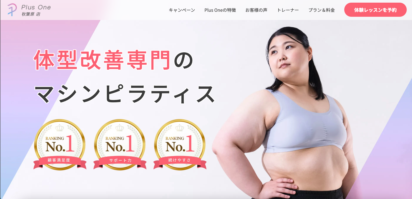 Plus One 秋葉原店