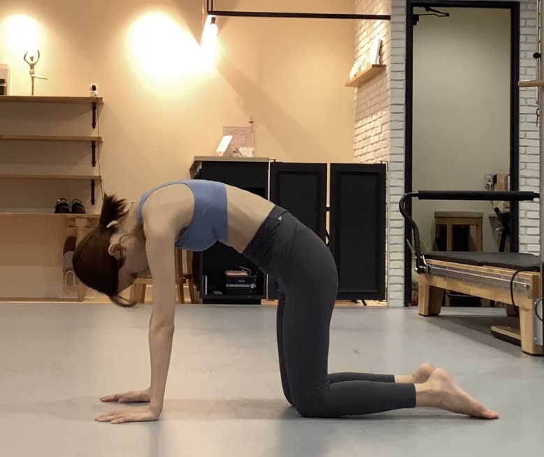 キャット 四つ這いで背中を丸める